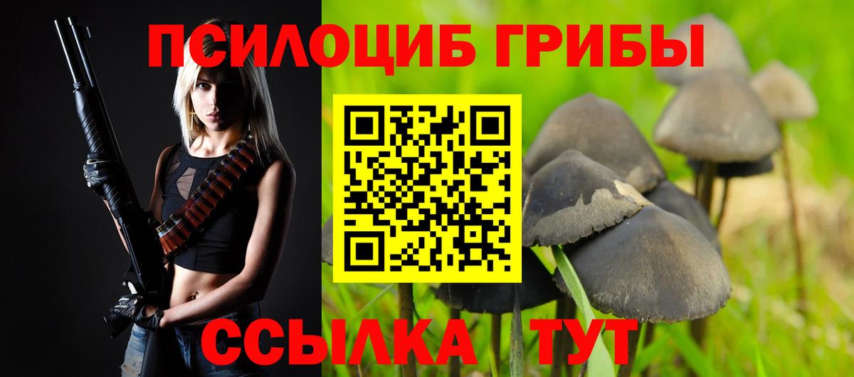 Галлюциногенные грибы Psilocybe Красноярск